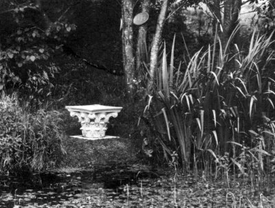 The Upper Pool, Little Sparta Photograph by Dave Paterson