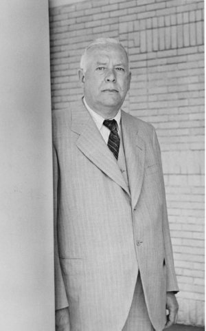 Portrait of Wallace Stevens by David C. Ward