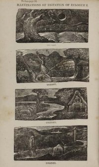 William Blake's wood engravings 