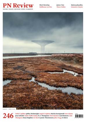 Cover of PN Review 246