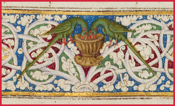 Detail of parrots from Prolianus’ <i>Astronomia</i>, Latin Manuscript 53, 1478.