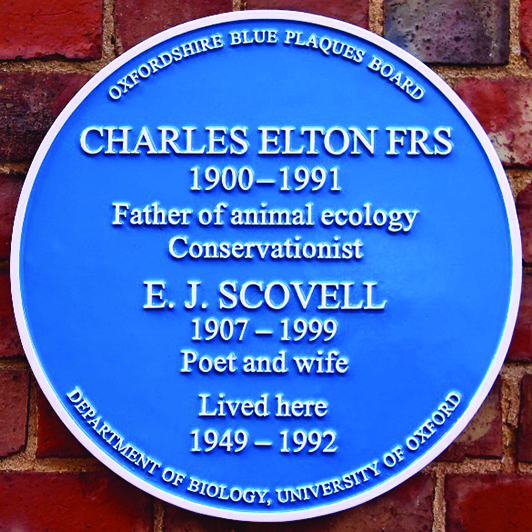 Blue Poet's Plaque